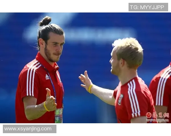 欧洲杯精彩对决葡萄牙与威尔士盘口分析及赛事前瞻